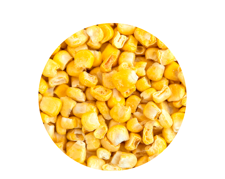 Sweet Corn