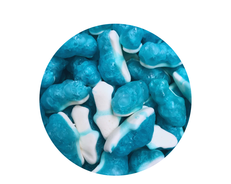 Gummy Sharks